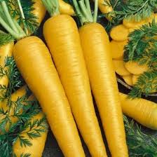 Yellow Carrots